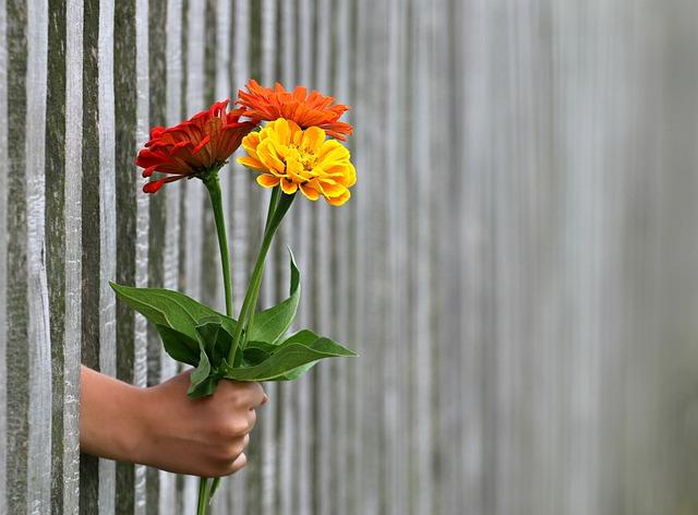 Jak vybrat dárek⁢ podle zájmů a⁤ osobnosti dívky