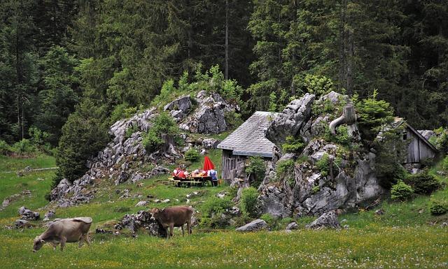 Podrobné srovnání funkcí a výhod