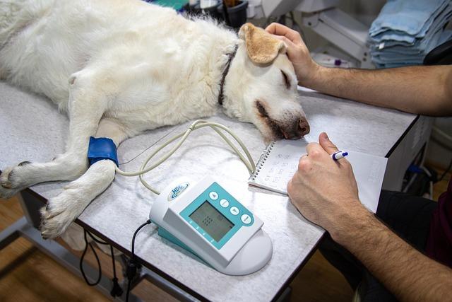 Cena vyšetření chlamydie u gynekologa: Přehled nákladů