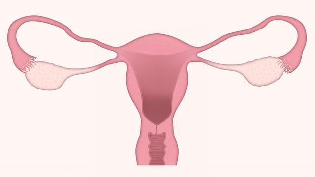 Možnosti konzultace online s gynekologem