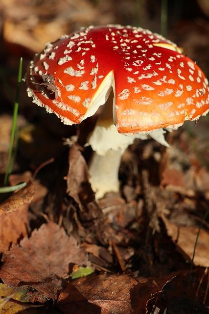 Rizika spojená s nedostatečným zrakovým vývojem u dětí