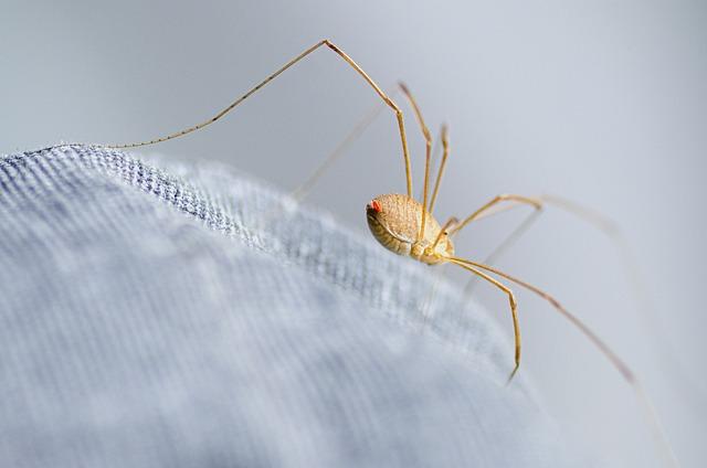 Jak správná parita může minimalizovat riziko komplikací během těhotenství