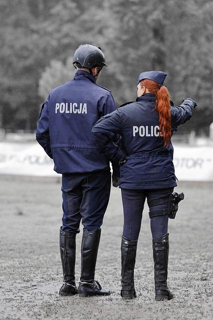 Rozbor cvičebních technik a postur