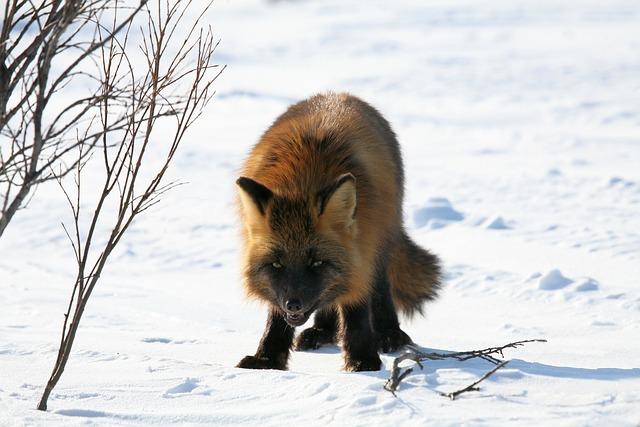 Opatrnosti při kontaktu s nemocnými lidmi