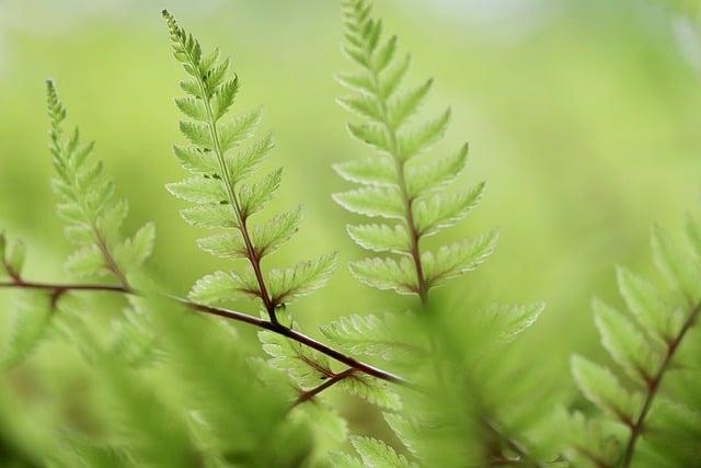 Tipy pro začátek s meditací během těhotenství