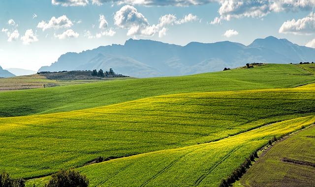 Role fyzioterapeuta při správném provádění Kegelových cvičení po porodu