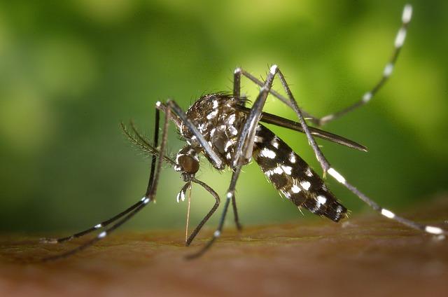 Hygienický odpuzovač komárů: Ochrana dítěte před hmyzem a klíšťaty